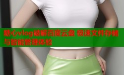 糖心vlog破解百度云盘 极速文件存储与智能管理体验