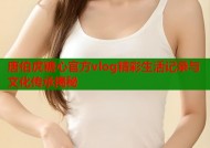 唐伯虎糖心官方vlog精彩生活记录与文化传承揭秘