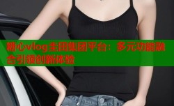糖心vlog圭田集团平台：多元功能融合引领创新体验