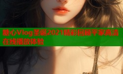 糖心Vlog圣诞2021精彩回顾平家高清在线播放体验
