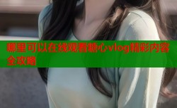 哪里可以在线观看糖心vlog精彩内容全攻略