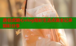 唐伯虎糖心vlog精彩生活点滴全记录精彩分享