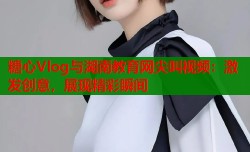 糖心Vlog与湖南教育网尖叫视频：激发创意，展现精彩瞬间