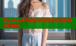 糖心vlog账号被封禁原因及后续影响深度解析