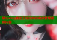 糖心vlog搬运工轻松转存高效管理视频内容