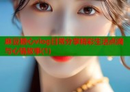 麻豆糖心vlog日常分享精彩生活点滴与心情故事(1)