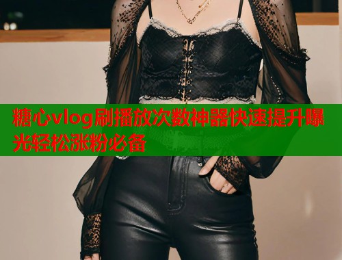 糖心vlog刷播放次数神器快速提升曝光轻松涨粉必备  第2张
