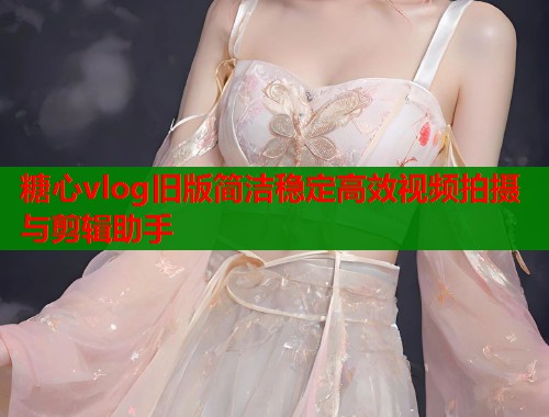 糖心vlog旧版简洁稳定高效视频拍摄与剪辑助手  第2张